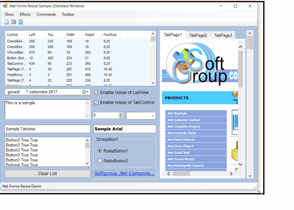 .Net Forms Resize screenshot